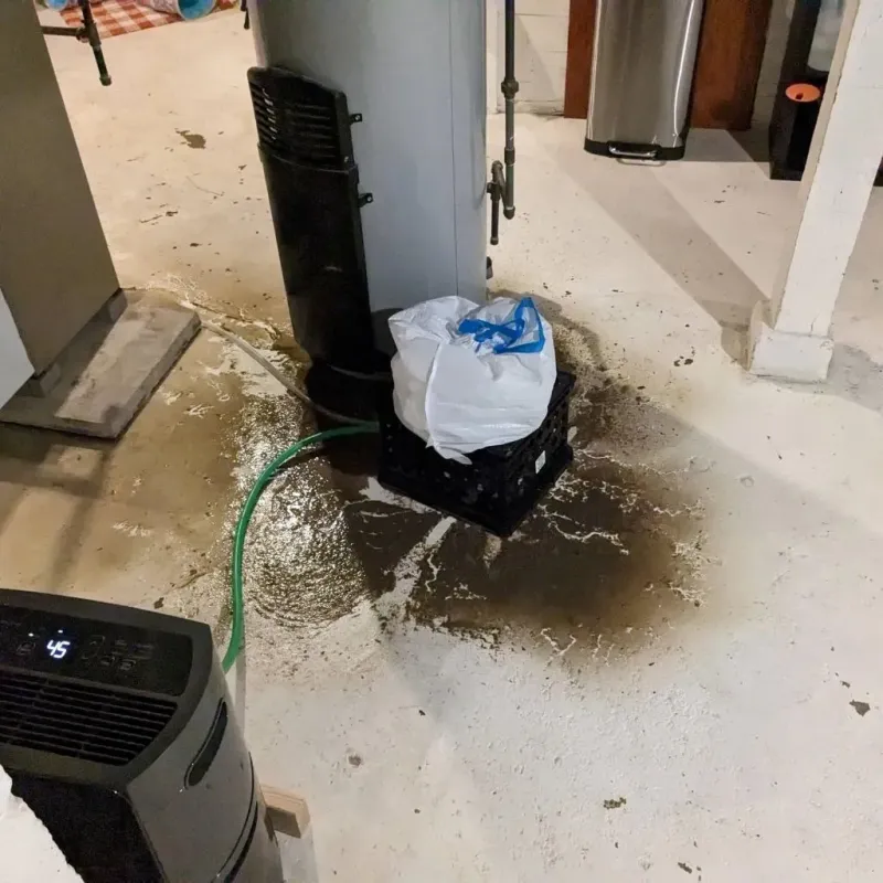 Sewage Backup Cleanup Service in Glenolden, PA